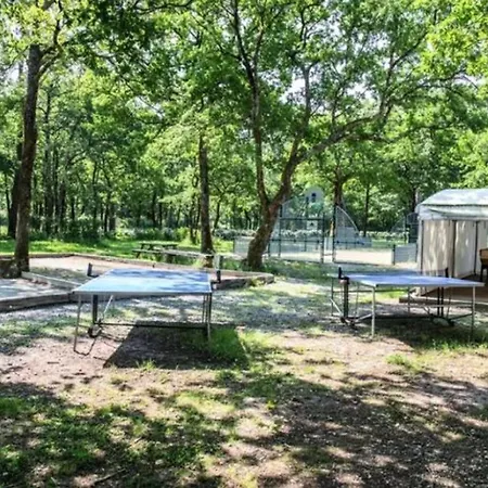 Mobil-home 6 Personnes Avec Terrasse A - Api-1-52-371 אתר קמפינג