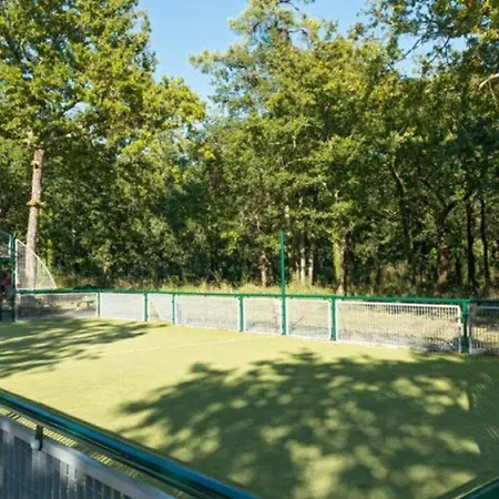 Mobil-home 6 Personnes Avec Terrasse A - Api-1-52-371 *