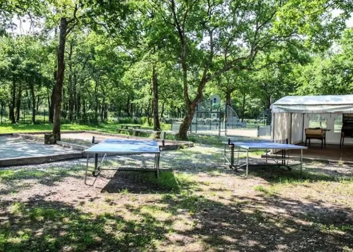 Mobil-home 6 Personnes Avec Terrasse A - Api-1-52-371 Campsite